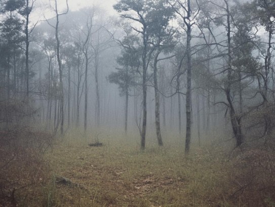 东北风水奇谭,白山黑水间的玄机，东北民间风水秘闻录