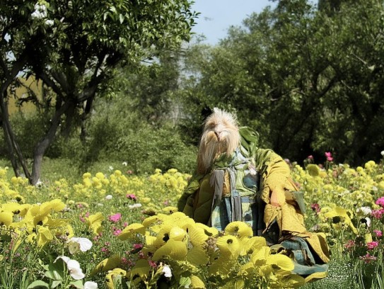 重庆成都看墓地风水，一次究竟要花多少钱？成都看墓地风水一次多少钱